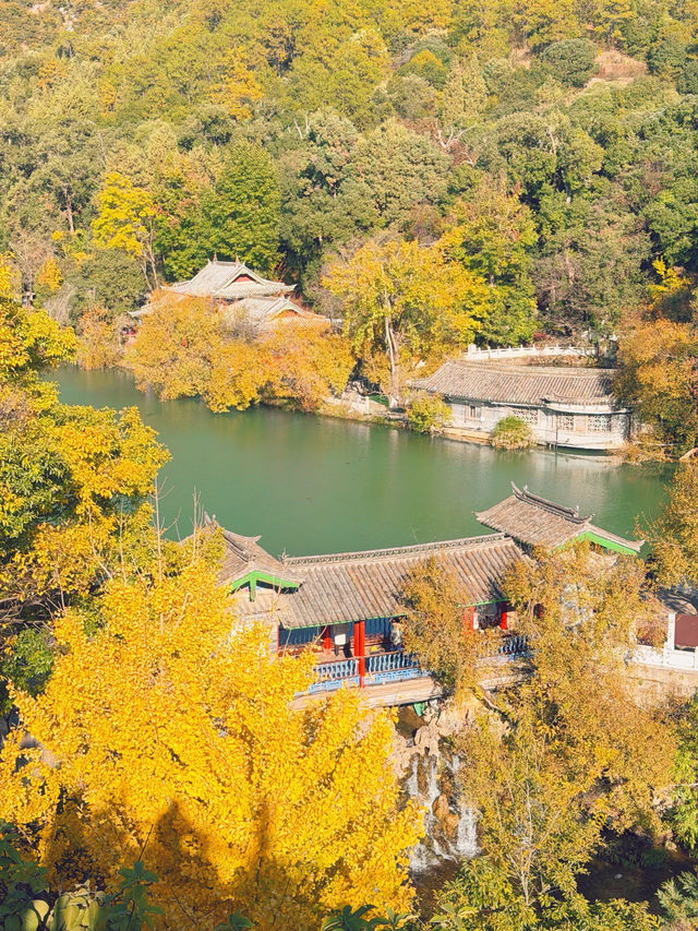 看了1000+麗江民宿,這家老錢風民宿成了我的白月光 看了1000+麗江民宿,這家老錢風民宿成了我的白月光