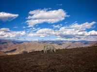 康定三絕雪山同框解鎖最佳打卡點