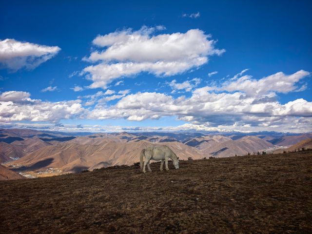 康定三絕雪山同框解鎖最佳打卡點 康定三絕雪山同框解鎖最佳打卡點