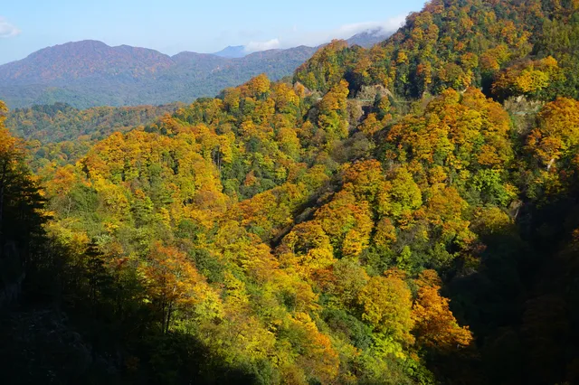 赴光霧山,收藏秋季限定浪漫 赴光霧山,收藏秋季限定浪漫