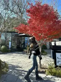 青島崂山|為了這間房特地飛了一趟青島!