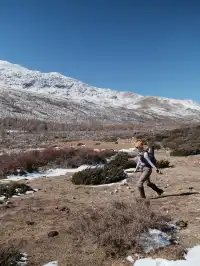 川西雪山整活，吃了牦牛肉，單穿一件是否抗凍