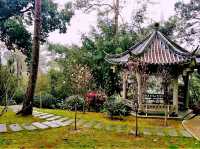 Hanoi’s Urban Oases: A Guide to the Best City Parks