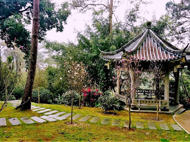 Hanoi’s Urban Oases: A Guide to the Best City Parks Hanoi’s Urban Oases: A Guide to the Best City Parks