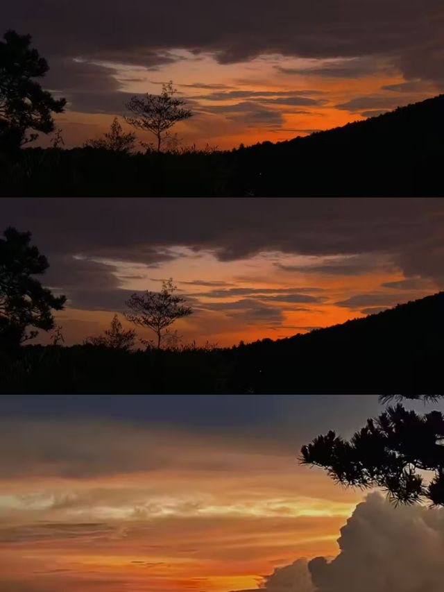 廬山杉與山青民宿:牯嶺鎮裡的雲端治癒地 廬山杉與山青民宿:牯嶺鎮裡的雲端治癒地