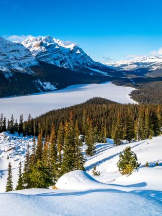 Winter trip to Banff! Calgary round-trip small group unlocking snow activities