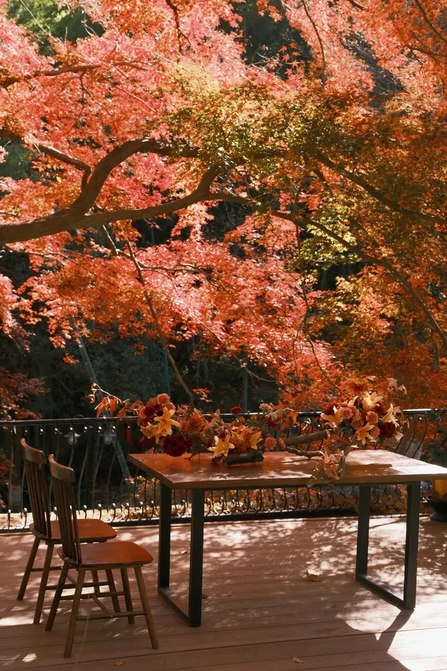 總要去莫干山看一次楓葉吧! 總要去莫干山看一次楓葉吧!