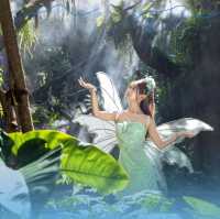 原始森林公園冬景如畫,暖冬美景限時賞