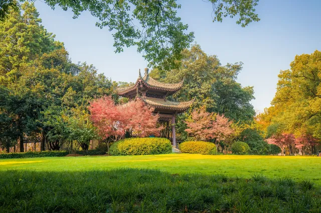 在武漢,週末不知道去哪兒玩,來東湖就對了 在武漢,週末不知道去哪兒玩,來東湖就對了