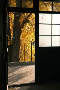 揚州蘇唱街|12月1日下午拍攝,這週得趕緊衝!