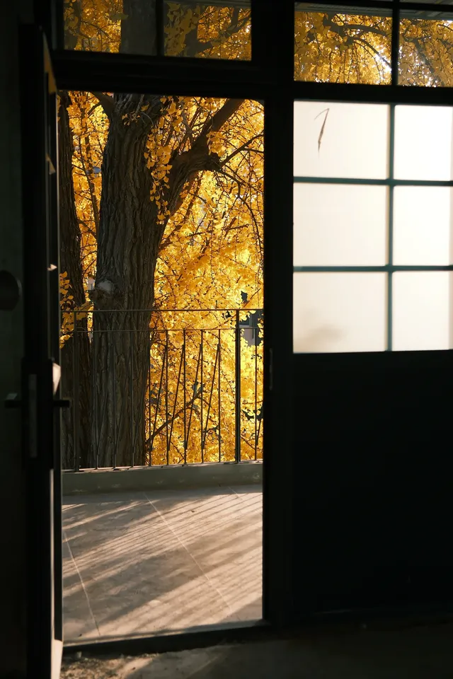 揚州蘇唱街|12月1日下午拍攝,這週得趕緊衝! 揚州蘇唱街|12月1日下午拍攝,這週得趕緊衝!