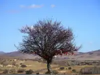 景點小評測——烏蘭布統