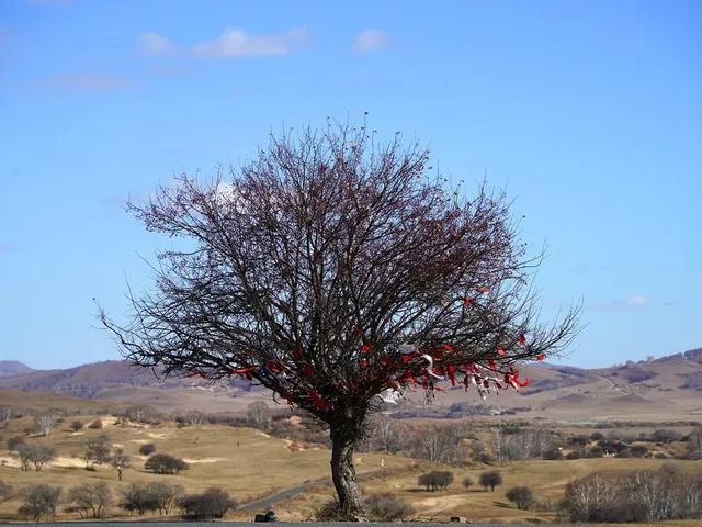景點小評測——烏蘭布統 景點小評測——烏蘭布統
