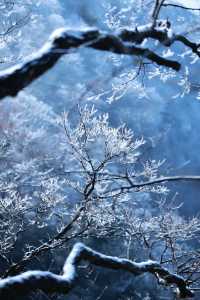 冰雪奇緣龍王山徒步踏, 雪賞霧淞