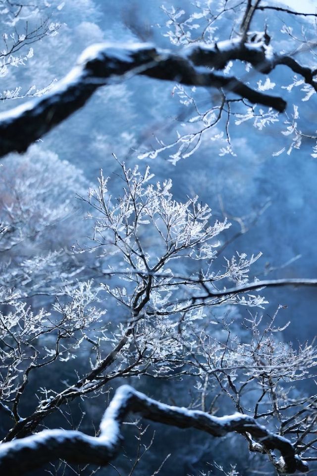 冰雪奇緣龍王山徒步踏, 雪賞霧淞 冰雪奇緣龍王山徒步踏, 雪賞霧淞