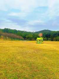 江門隱秘美景森林湖