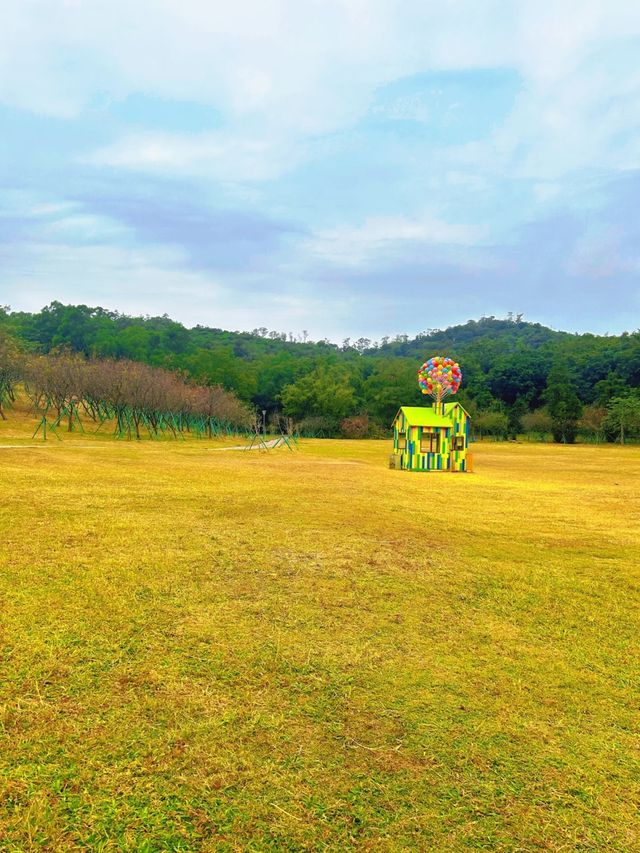 江門隱秘美景森林湖 江門隱秘美景森林湖