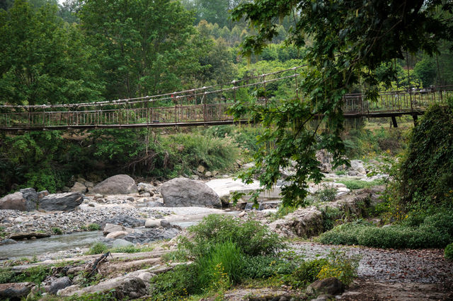 峨眉山上的寶藏歇腳地,誰住誰讚! 峨眉山上的寶藏歇腳地,誰住誰讚!