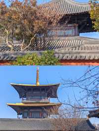 深秋的廣富林|把江南詩意焊在骨子裡的絕美打卡地