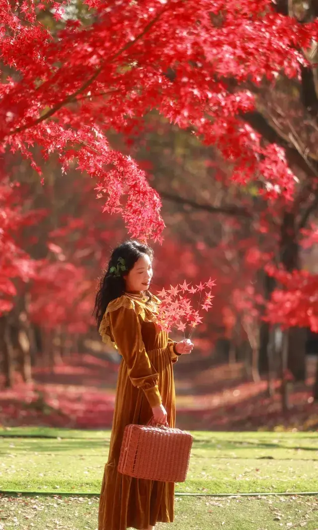 你在人潮擁擠的西湖邊,我在花開海上紅楓自由自在 你在人潮擁擠的西湖邊,我在花開海上紅楓自由自在