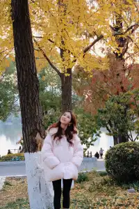 真的會反覆愛上玄武湖的深秋