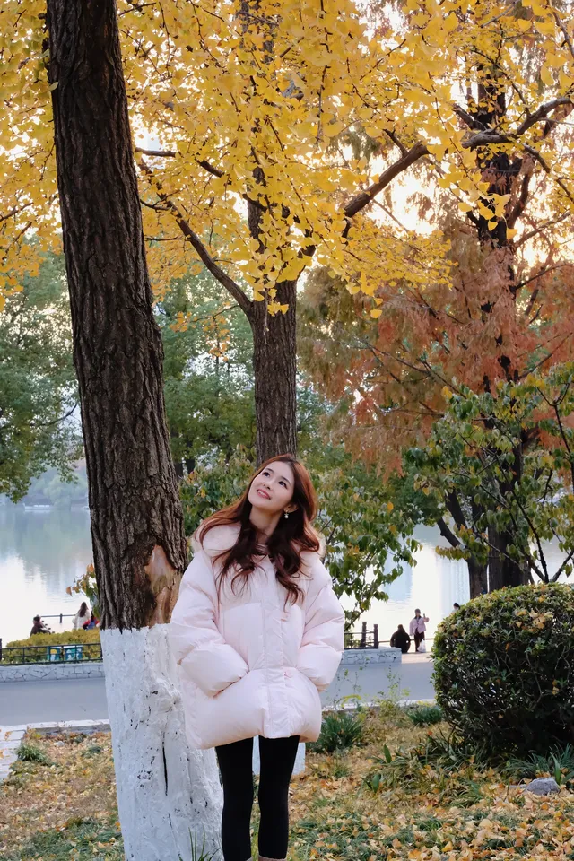 真的會反覆愛上玄武湖的深秋 真的會反覆愛上玄武湖的深秋