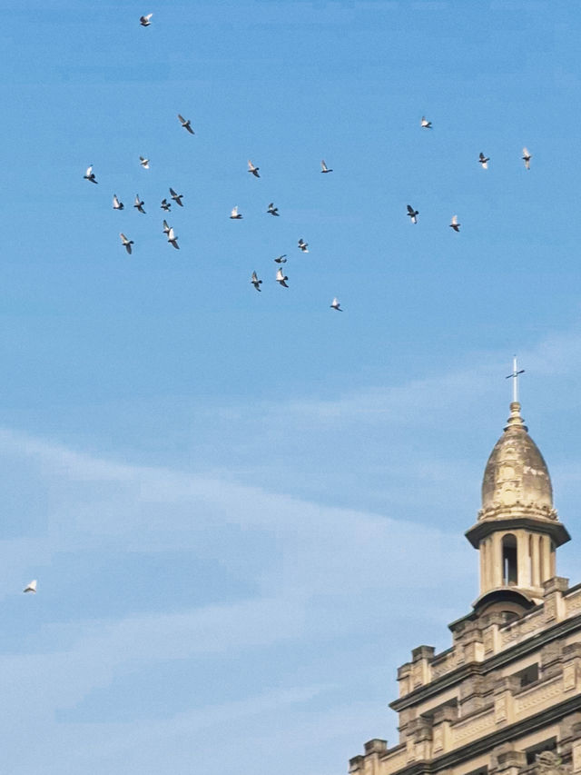 武漢·古德寺 武漢·古德寺