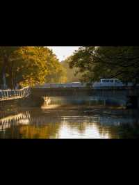 昆明秋日頂流滇樸鎏金季!保姆級打卡攻略,錯過等一年