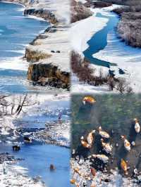 16張Live圖告訴你呼倫貝爾的冬天到底有多絕