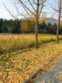 河南|嵩山少林寺
