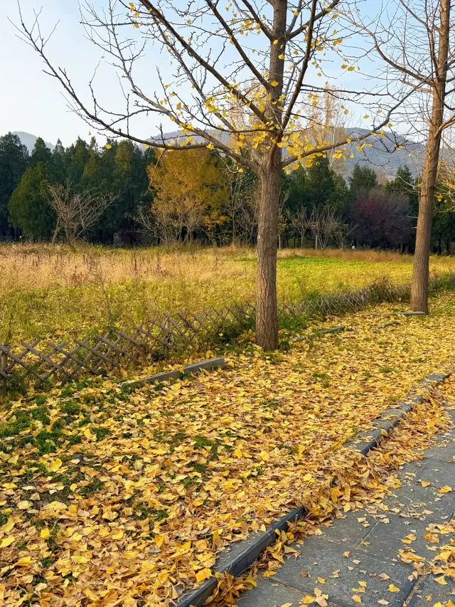 河南|嵩山少林寺 河南|嵩山少林寺