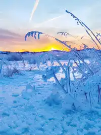 人少雪厚還免門票！烏蘭布統3天2晚全攻略