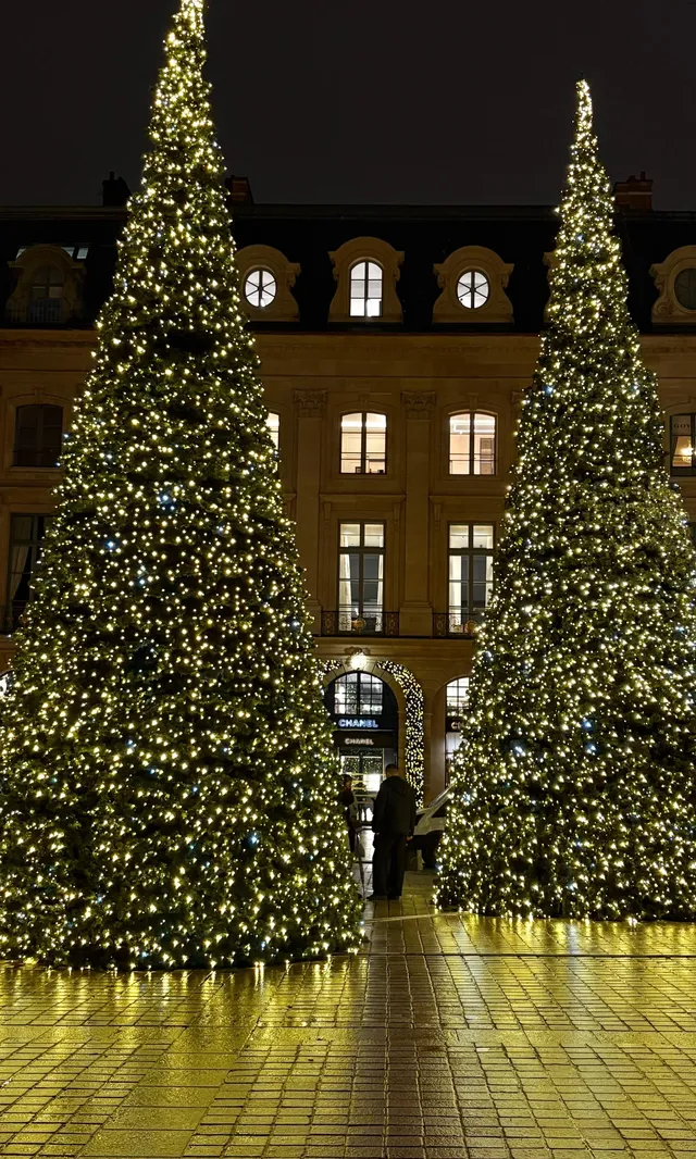 法國聖誕氣氛超濃厚！