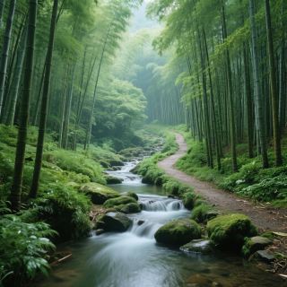 ป่าไผ่มาอัน | ดินแดนสีเขียวอันน่ามหัศจรรย์ที่ซ่อนเร้นอยู่บนโลกใบนี้