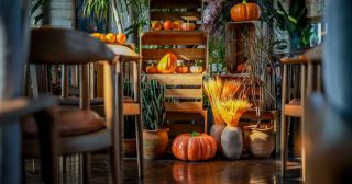 精緻慢生活一站式體驗