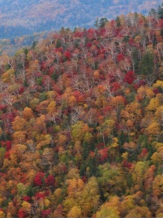 겨울방학 아이와 함께하는 일본 여행 가이드, 이 글 하나면 충분해요