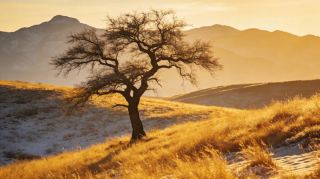 Yuanjiang | A Warm Winter Secret on the Tropic of Cancer, Where Sea of Clouds and Hot Valleys Heal the Soul