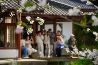 Удивительный день в зоопарке Цяньлиншань