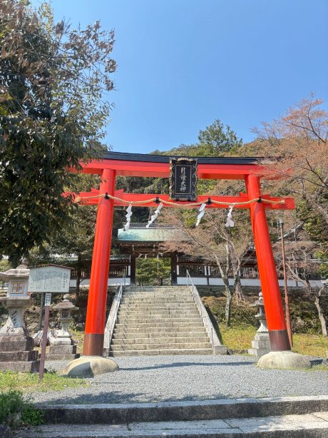 日本の文化に深く根ざした静かな神社。 | Trip.com 京都
