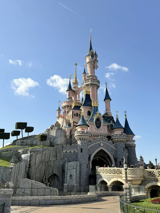 Disneyland dream ✨