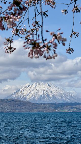 Japan 5-Day Tour Guide - Your Spot in the Circle on Social Media