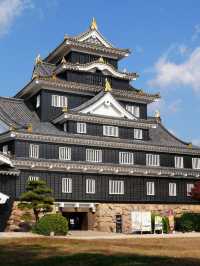 暑期8日日本遊保姆級攻略