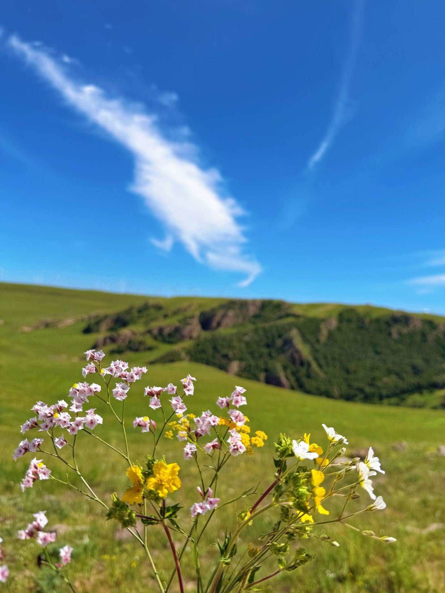 Missing out on a summer trip to Ulanqab–Xilingol League would be a huge regret
