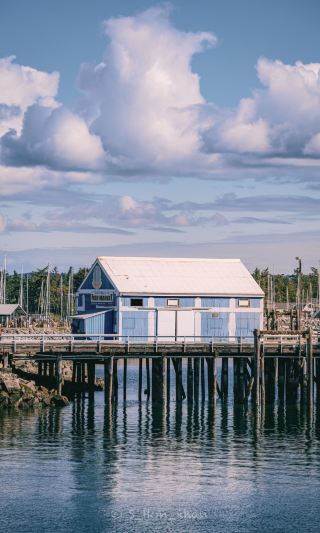 Sydney in summer but the Vancouver Island version