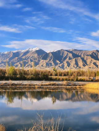 8-day summer nanny-level guide for Xining and nearby areas—save this now