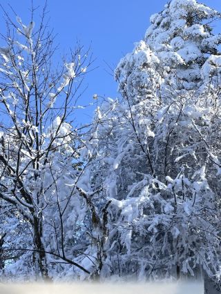 重庆周辺3H直行峨眉山絶美な雪景色＋高山病対策