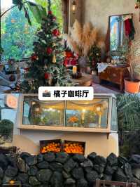 濟州島玩透攻略5條寶藏路線