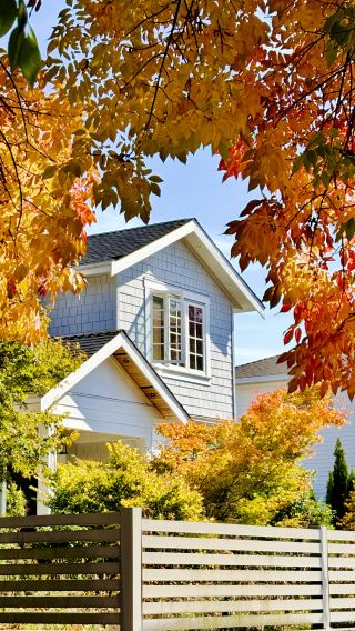  Vancouver Fall Foliage ① | The autumn palette hidden in a street corner