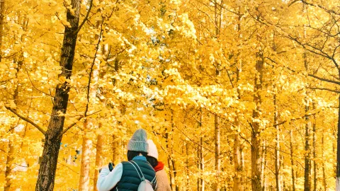 Autumn Getaway to Yichang | Cruise Xiling Gorge and the Qingjiang River, Experience Local Life — traveler post in Changyang