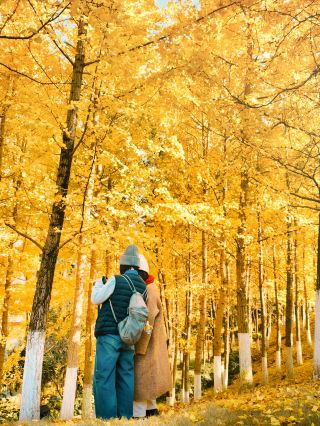 Autumn Getaway to Yichang | Cruise Xiling Gorge and the Qingjiang River, Experience Local Life